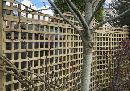 Salisbury Fencing Services photo